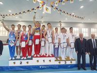 Волгоградские гимнасты стали лучшими в ЮФО и СКФО