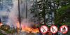 В Волгоградской области установлен период пожароопасного сезона