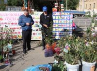 В Волгограде открывается осенний сезон продажи саженцев