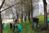 Волгоградцы приняли участие в весенней уборке благоустроенных пространств