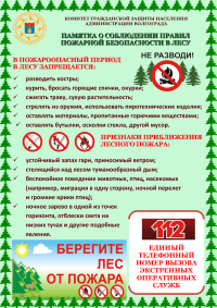 ПАМЯТКА О СОБЛЮДЕНИИ ПРАВИЛ ПОЖАРНОЙ БЕЗОПАСНОСТИ В ЛЕСУ