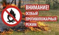 ‼Ограничение на посещение лесов Волгоградской области продлено до 28 июня в связи с противопожарным режимом