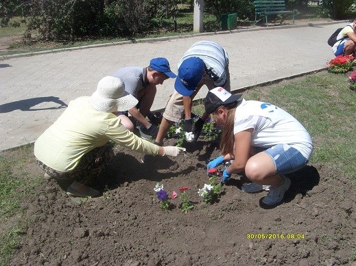В парке Гагарина высадили петуньи